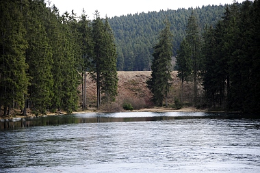 Mittlerer Grumbacher Teich (2) Oberharzer Wasserwirtschaft Bilder